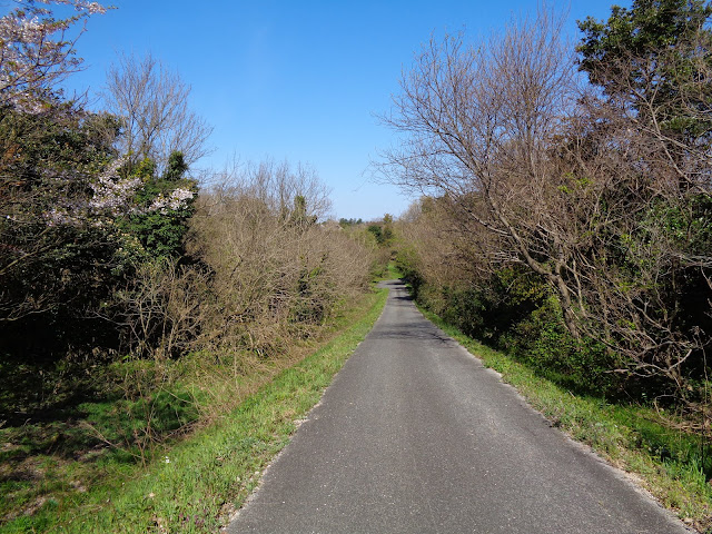 遺構展示館裏の遊歩道