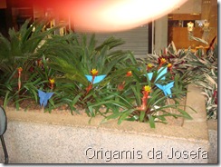 Primavera Japonesa 035