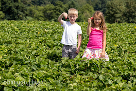 Shannon Hager Photography, Portland Oregon, Strawberry Fields