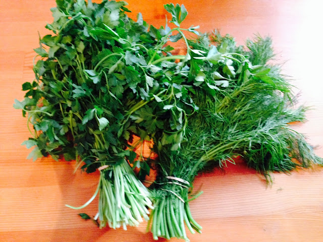 Bunch of parsley and dill