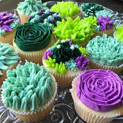 variety of succulent cupcakes