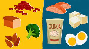 Benefits of eating meat [MEAT]