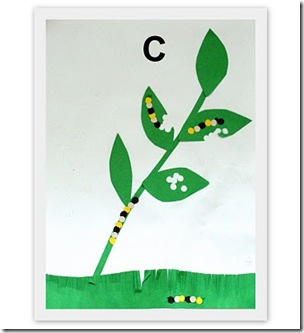 Letter C Activities3