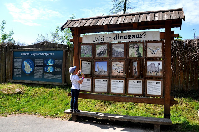 Park dinozaurów świętokrzyskie