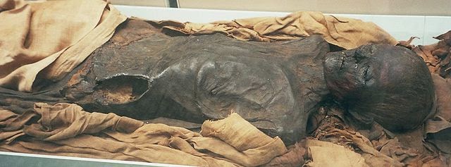 mummy di Mesir