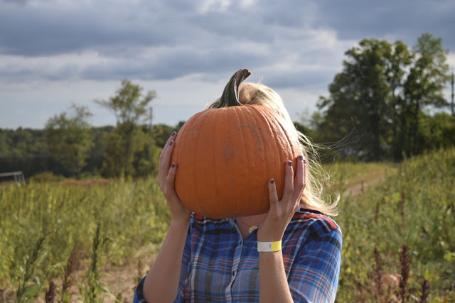 fall pumpkin