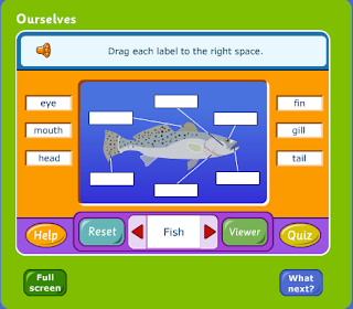 http://www.bbc.co.uk/schools/scienceclips/ages/6_7/variation.shtml