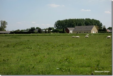 28-DSC06097