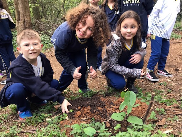 Educação ambiental mobiliza mais de 200 crianças no Bosque Maia