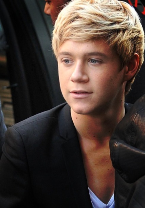 Is Kian Egan the father of Niall Horan from One Direction