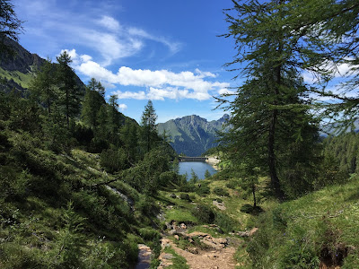 View north from the trail while descending, view of Lago Marcio