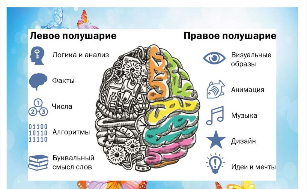 Развитие правого и левого полушарий