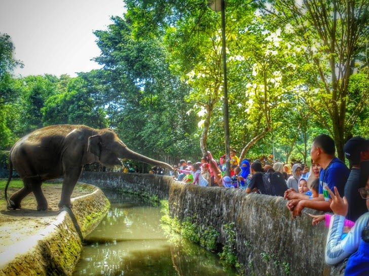 Buka Senin Depan, Gembira Loka Hanya Batasi Maksimal 500 Wisatawan