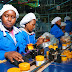 Jobdesk Operator Gudang Beserta Tugas dan Tanggung Jawabnya di Pabrik Industri