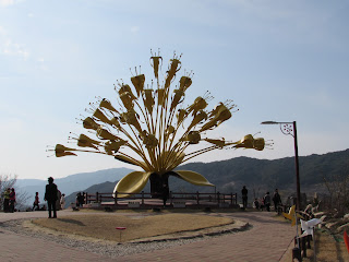 Une fleur de cornouiller 산수유 géante, lors du festival du cornouiller 산수유 축제