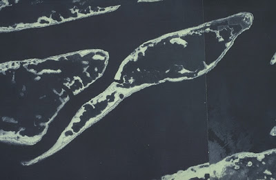 Note reef platforms within the Belize Barrier Reef. Note the pinnacle reefs within the barrier rims to these patches. 