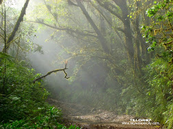 Paisaje, Volcán Barba