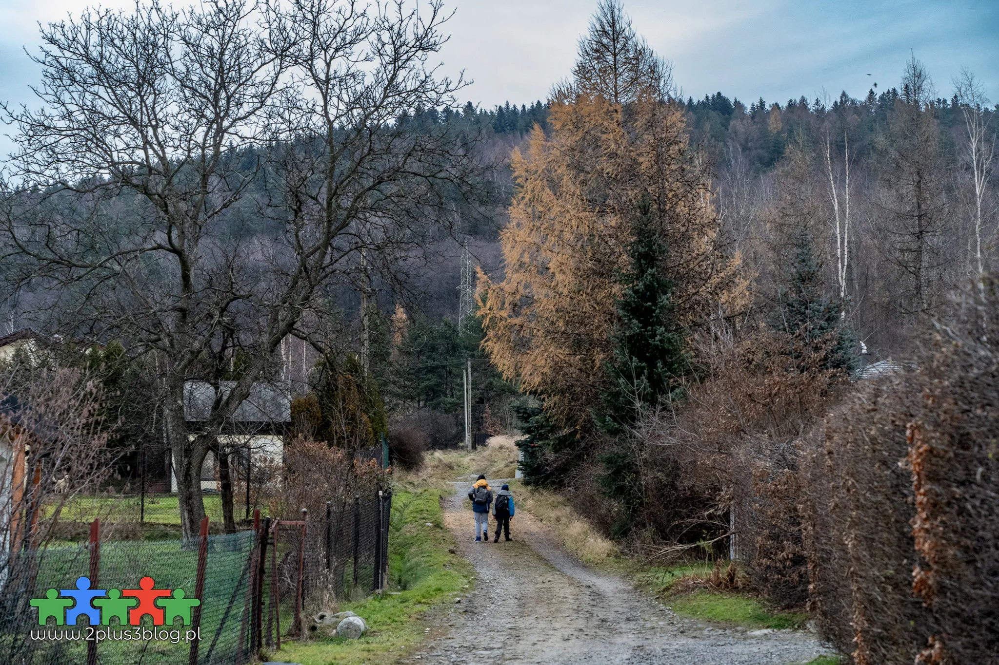 Górska pętla prowadząca na Magurkę Wilkowicką to urozmaicona i nieforsowna trasa dla rodziny z przyjemnymi widokami na Beskidy: Niski, Śląski, Żywiecki