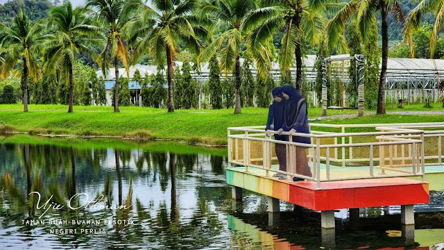 Taman Buah-Buahan Eksotik Negeri Perlis