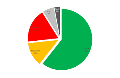 Active Member Percentage