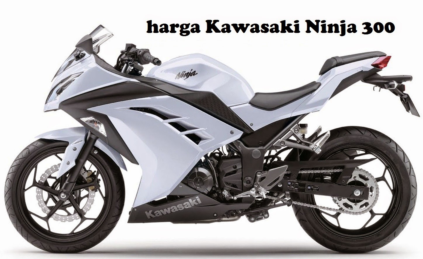 New Daftar Harga Jual Kawasaki Ninja 300cc Di Pasaran Tahun 2016