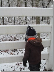2012xmas 257