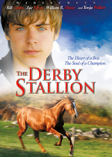 The Derby Stallion