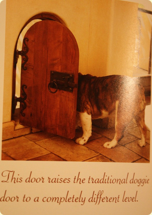 dog dr