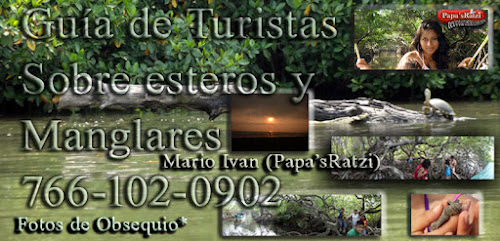 Esteros Manglares, ZOna de Lagartos, fotos Panoramicas, Playas de Mexico, Mexico desconocido, Playas hermosas de Mexico