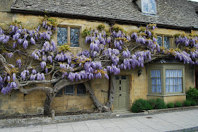 Try Dulux Lizard for this soft front door look with Cotswold Stone...don't forget the wisteria!