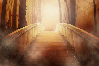 Sumber foto : https://pixabay.com/illustrations/bridge-forest-fantasy-trees-light-19513/