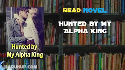 Hunted by My Alpha King Novel
