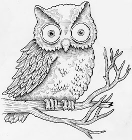 owls drawing pictures