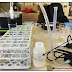 IA on effect of concentration of NaOH on the rate of hydrogen production, between aluminium and sodium hydroxide.