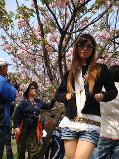 Cherry Blossoms at Nanxi Hill Park, Guilin China
