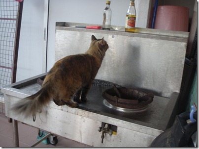 on the stove