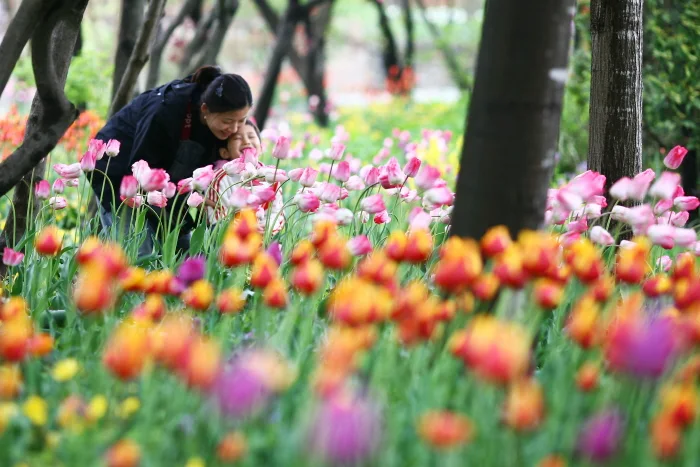 가족생태 체험여행 한택식물원 2019 ‘봄꽃페스티벌’ 개최