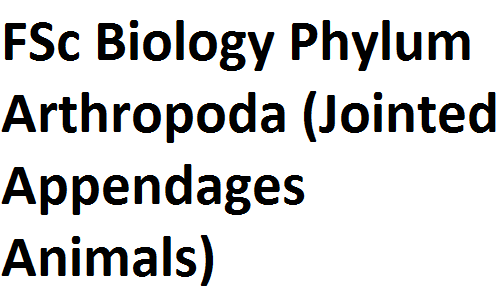 FSc Notes Class XI Biology Phylum Arthropoda (Jointed Appendages Animals) fscnotes0