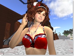 Tvd_20081207a_007