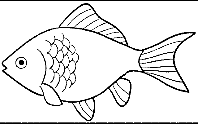  Gambar  Ikan Hitam Putih Kartun Gambar  Ikan HD