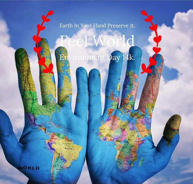 Earth In Your Hand Preserve it. Feel World Environment Day 14k