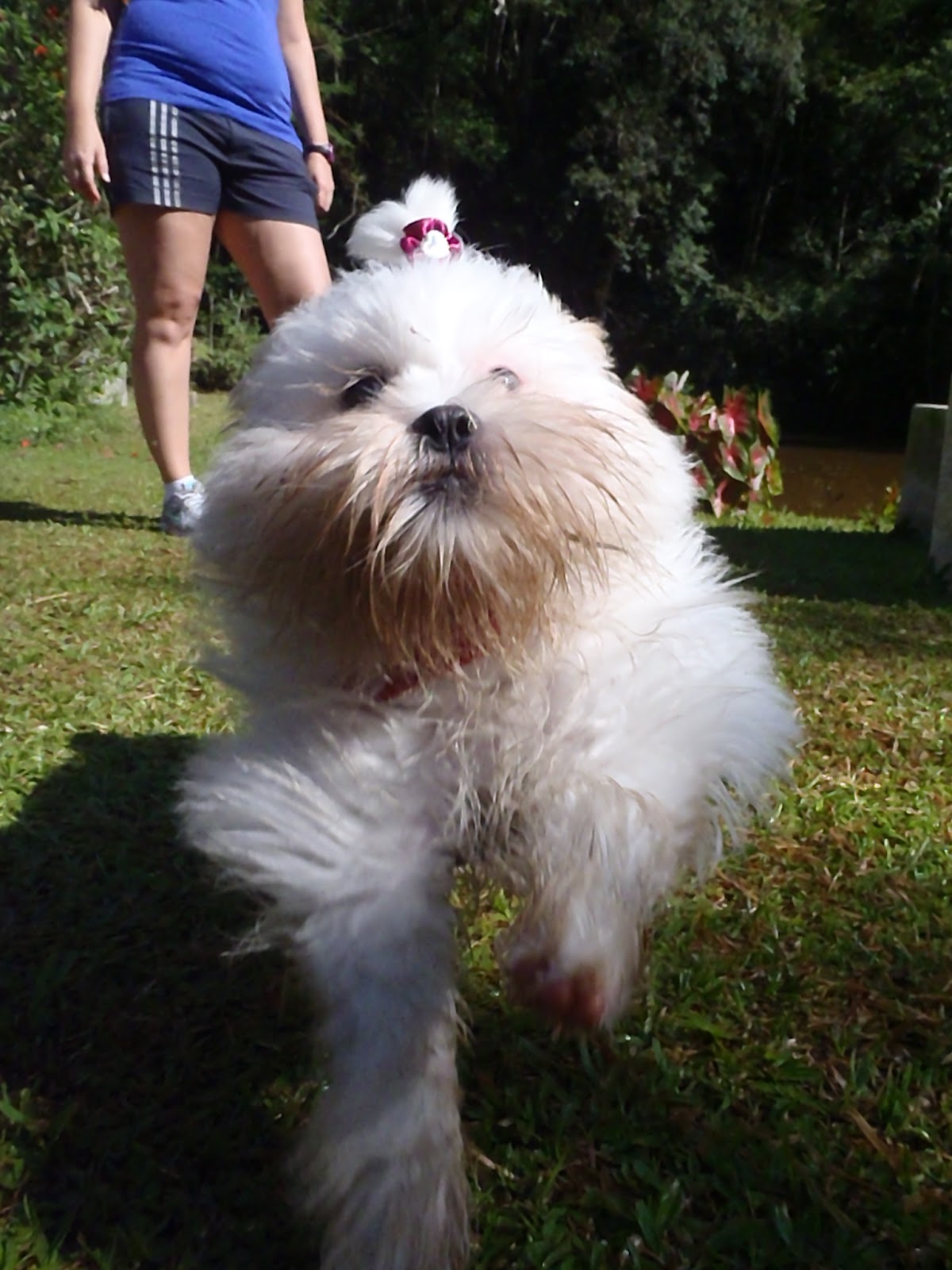 Trekking 3 (13)
