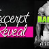 Excerpt Reveal + Giveaway - THE BALLER by Vi Keeland