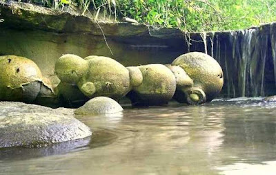 batu,trovant,tumbuh,berkembang