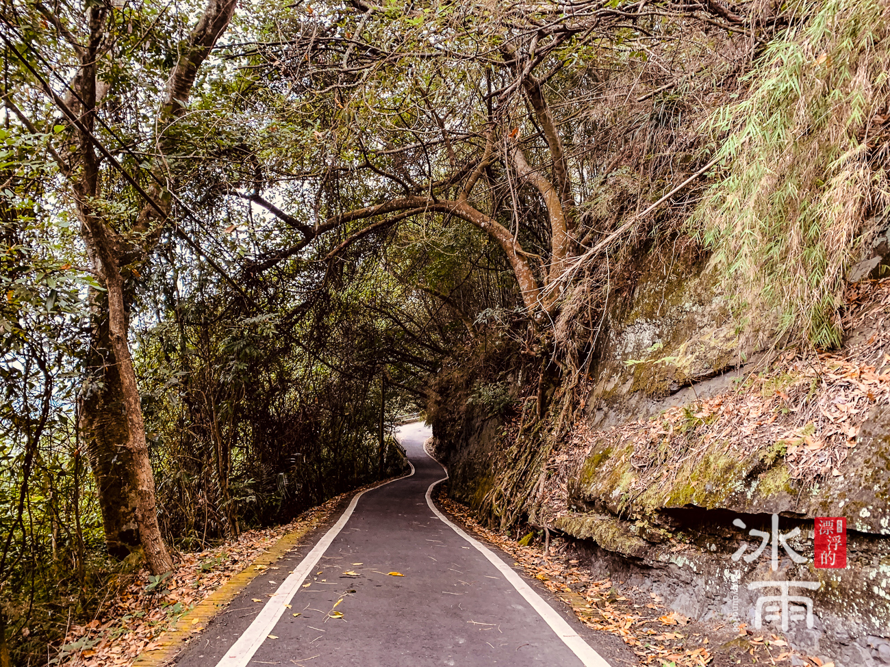 獅山古道｜獅頭山風景區｜馬路步道