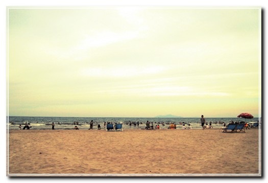 Untitled-5.jpga