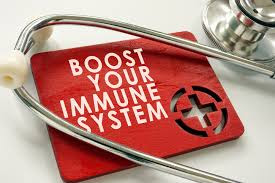 Your Immunity Blueprint: A Step-by-Step Plan to Stay Healthy All Year Round
