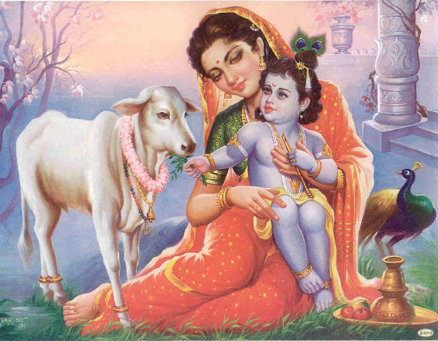 Happy Janmashtami Festival HD Wallpapers Free Download