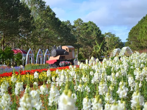 Da Lat city says it with flowers, once again 15