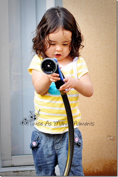 DSC_2979_edit_wm